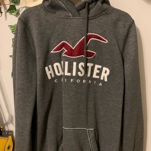 Grey Unisex Hollister Hoodie